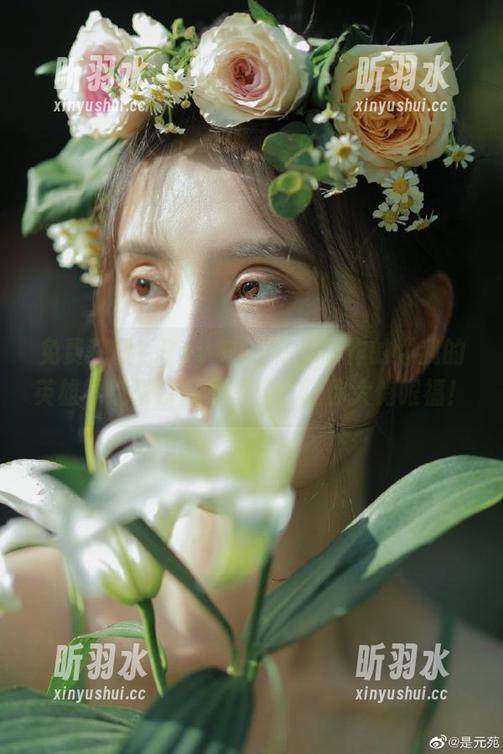 免费获取！Puy Puy精心制作的《我的英雄学院米尔科》图包，让你大饱眼福！